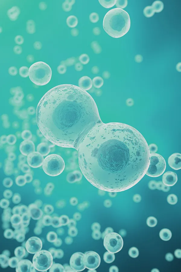 Exosome-Facial-Treatment 3D illustration of exosomes. Get exosome facial treatment from Marina Fay, PA-C in Aventura-North Miami.
