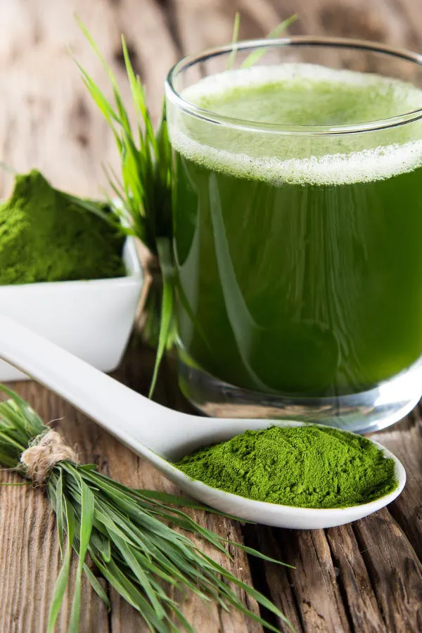 Immune-Optimization-Peptides-Treatment Green herbs, powders and juice. Get Immune Optimization Peptide Treatment from Marina Fay, PA-C in Aventura-North Miami.