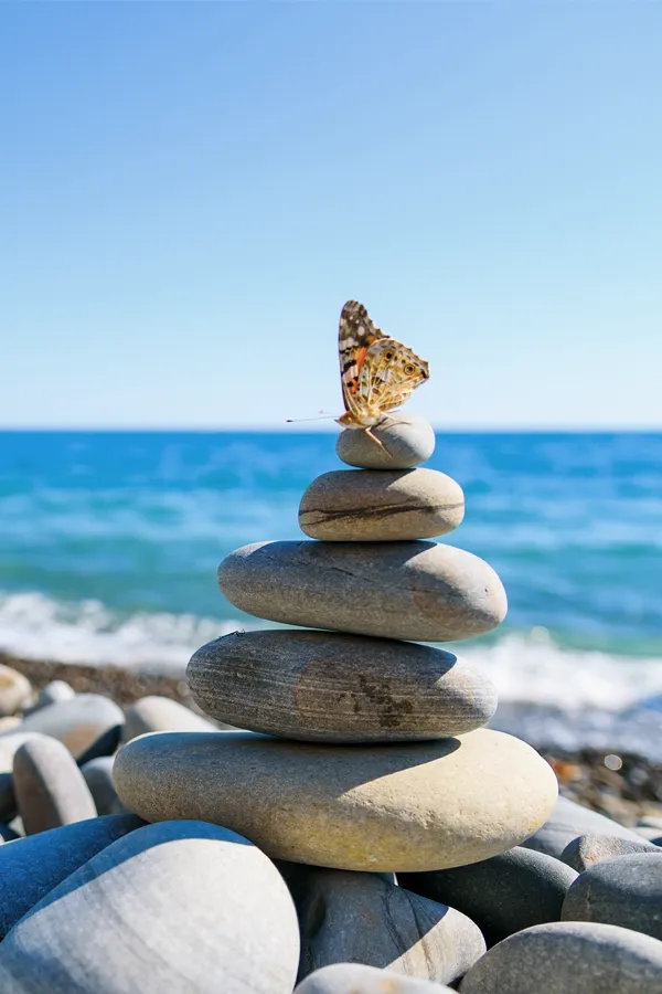 Immune-System-Optimization-for-Cognitive-Support-Treatment A butterfly atop a pile of stones by the ocean. Get immune system optimization for cognitive support treatment from Marina Fay, PA-C in Aventura-North Miami.