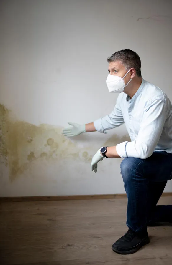 Mold-and-Mycotoxin-Treatment A building professional in a protective mask points out mold damage on a wall. Get treatment for mold and mycotoxin illness from Marina Fay, PA-C in Aventura-North Miami.